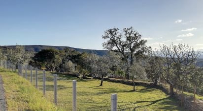 Terrain à Pedrógão Pequeno de 1 240 m²