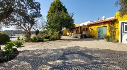 Farm T9 in Ourique of 534 m²