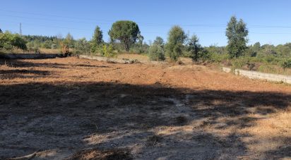 Land in Tábua of 600 m²