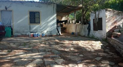 Terrain à Santa Bárbara de Nexe de 2 944 m²