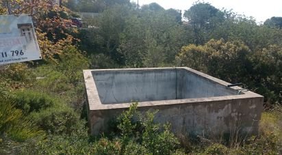 Terrain à Santa Bárbara de Nexe de 2 944 m²