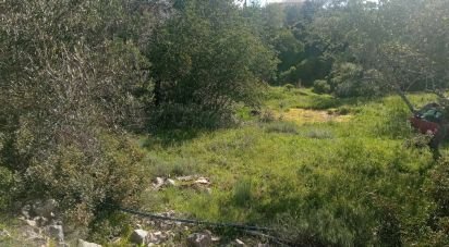 Terrain à Santa Bárbara de Nexe de 2 944 m²