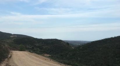 Land in Tavira (Santa Maria e Santiago) of 4,662 m²