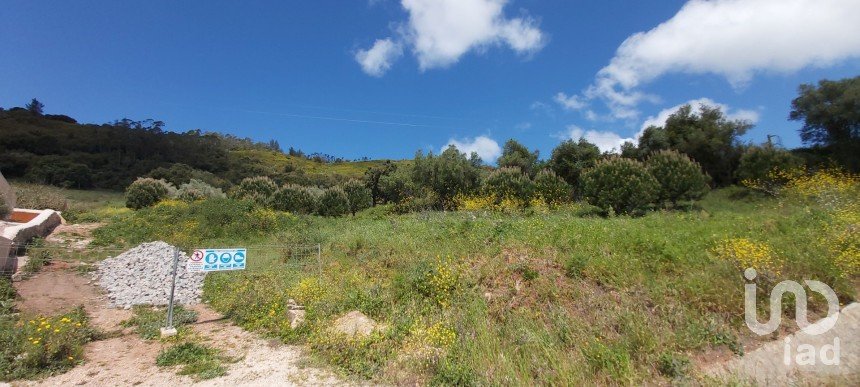 Land in Rio Maior of 7,390 m²