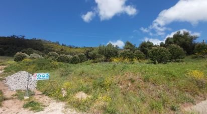 Terrain à Rio Maior de 7 390 m²