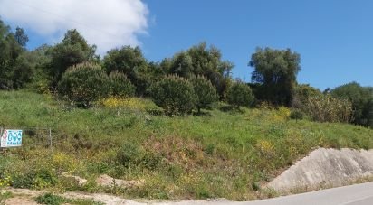 Terrain à Rio Maior de 7 390 m²