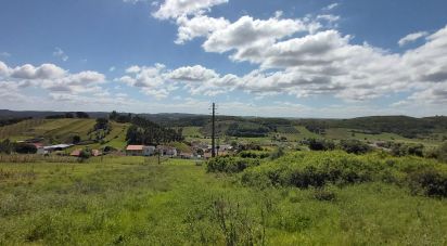 Terrain à Rio Maior de 7 390 m²