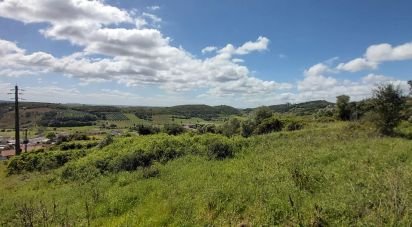 Terrain à Rio Maior de 7 390 m²