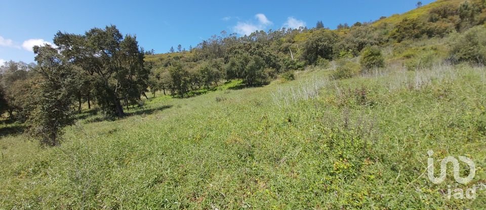 Land in Rio Maior of 7,390 m²