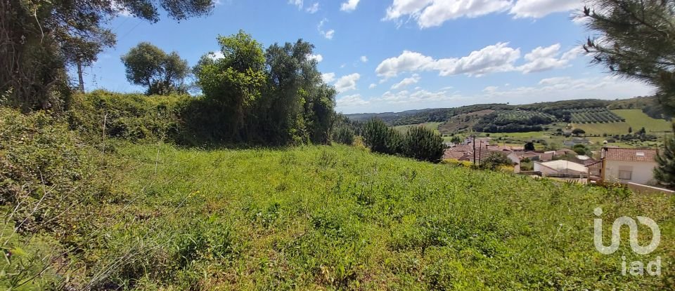 Land in Rio Maior of 7,390 m²