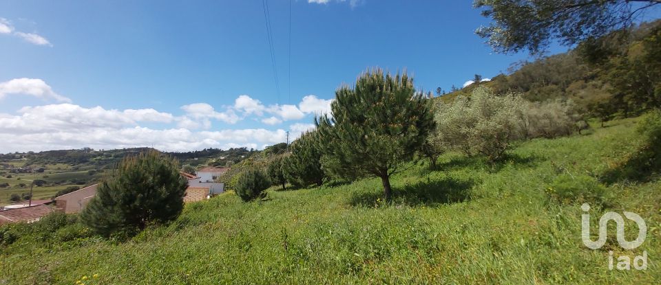 Land in Rio Maior of 7,390 m²