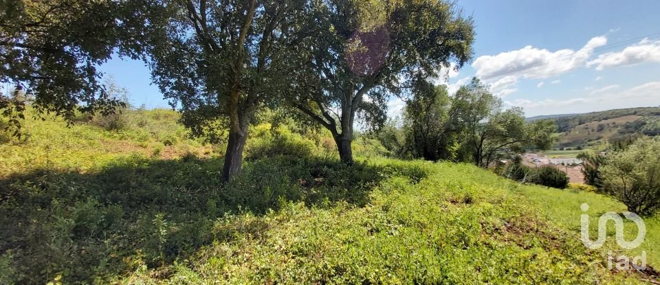 Land in Rio Maior of 7,390 m²