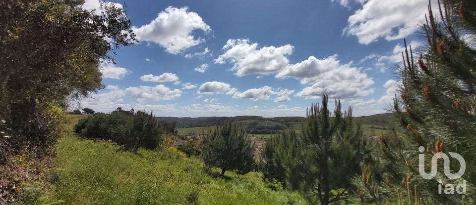 Land in Rio Maior of 7,390 m²