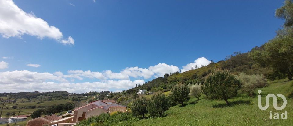 Land in Rio Maior of 7,390 m²