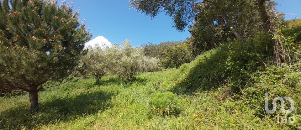 Land in Rio Maior of 7,390 m²