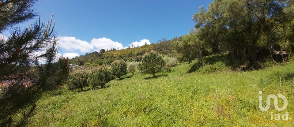 Land in Rio Maior of 7,390 m²