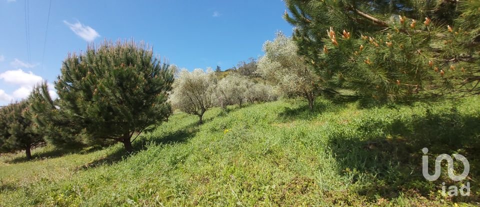 Land in Rio Maior of 7,390 m²