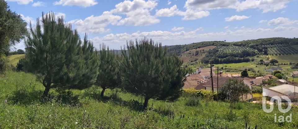 Land in Rio Maior of 7,390 m²