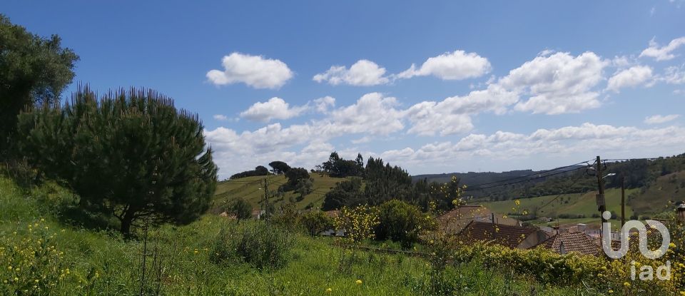 Land in Rio Maior of 7,390 m²