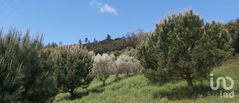 Land in Rio Maior of 7,390 m²