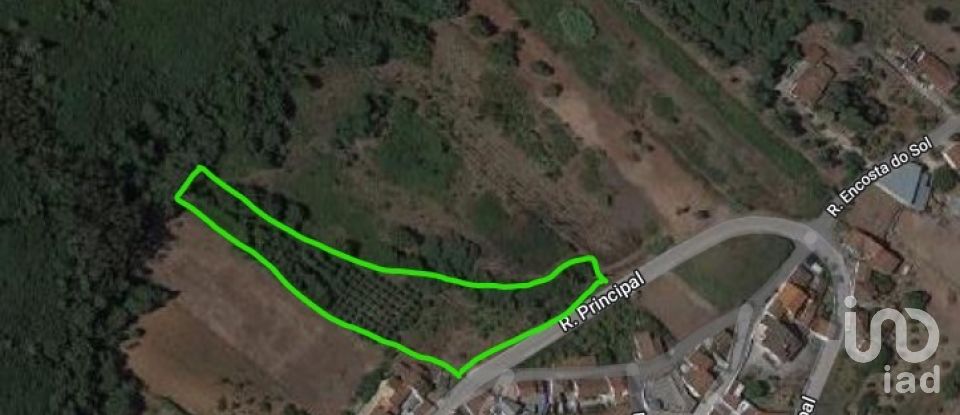 Land in Rio Maior of 7,390 m²