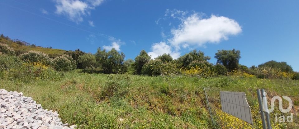 Land in Rio Maior of 7,390 m²