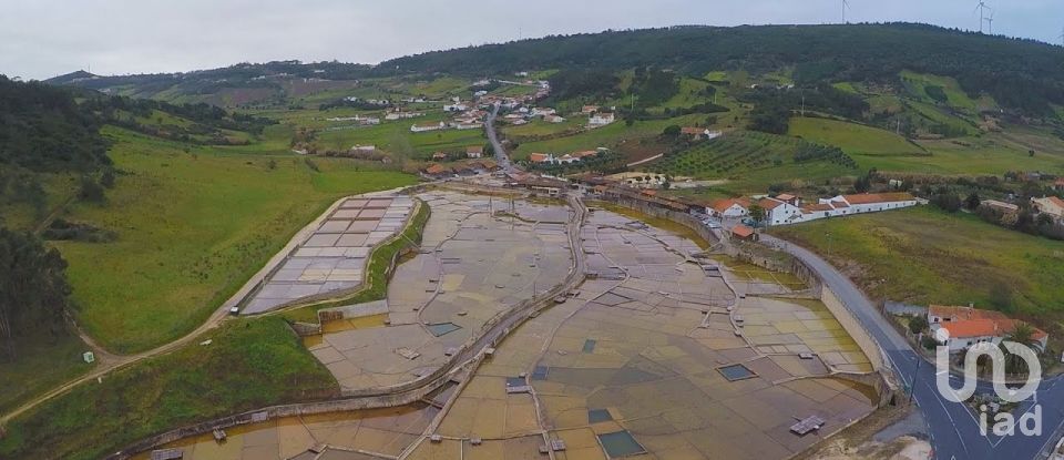 Land in Rio Maior of 7,390 m²