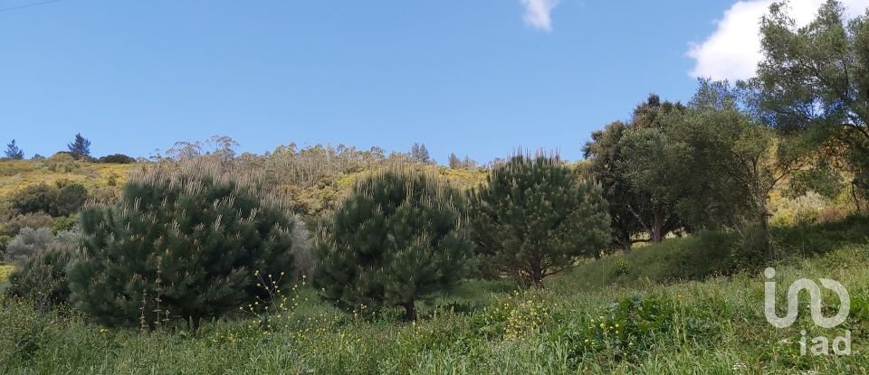 Land in Rio Maior of 7,390 m²