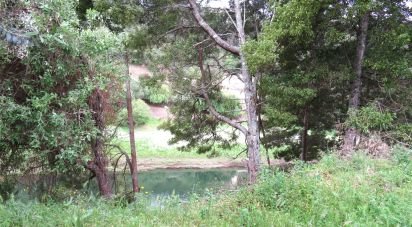 Terrain à Arega de 560 m²