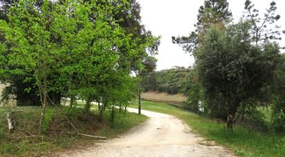 Terrain à Arega de 560 m²