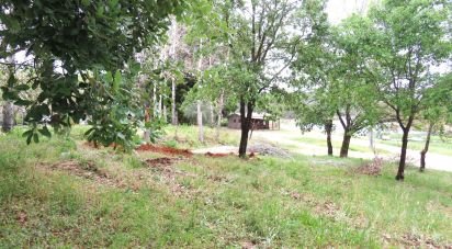 Terrain à Arega de 560 m²