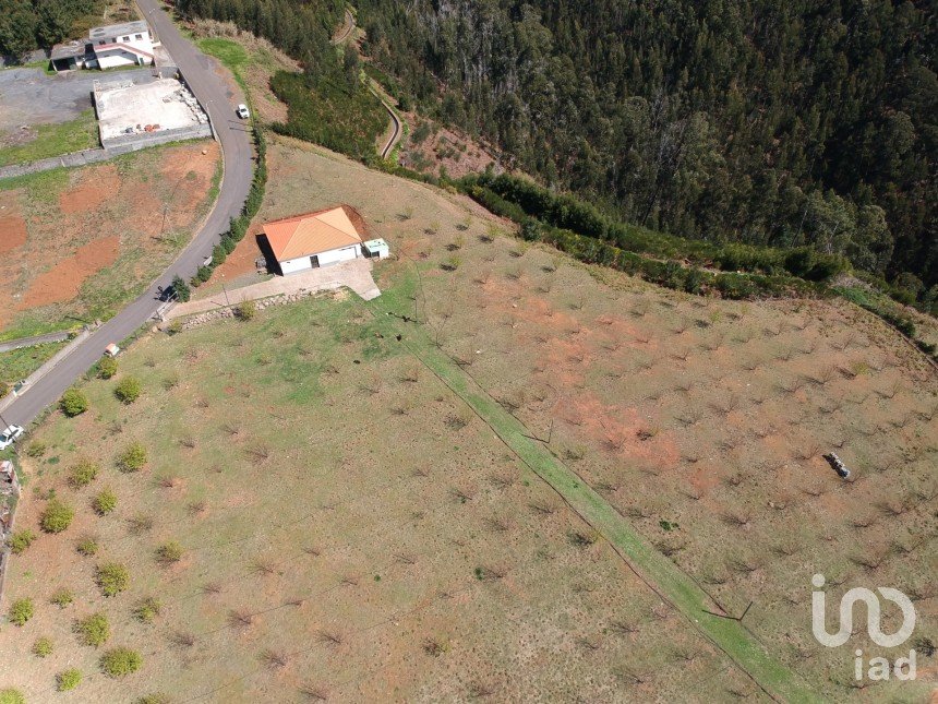 Land in Prazeres of 10,000 m²