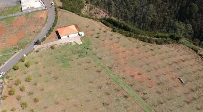Land in Prazeres of 10,000 m²