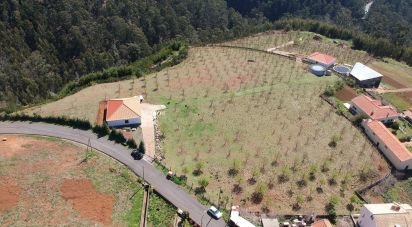 Land in Prazeres of 10,000 m²