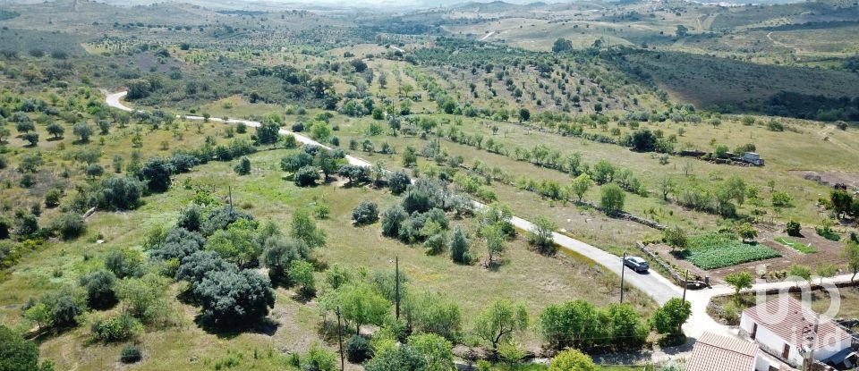 Land in Martim Longo of 920 m²