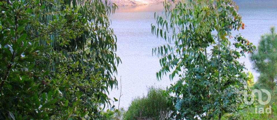 Terrain à bâtir à Serra e Junceira de 531 950 m²