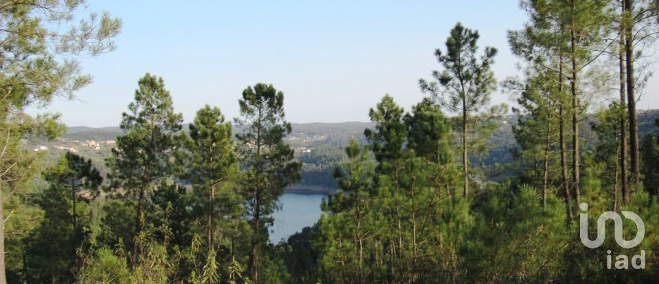 Terrain à bâtir à Serra e Junceira de 531 950 m²
