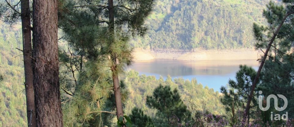Terrain à bâtir à Serra e Junceira de 531 950 m²