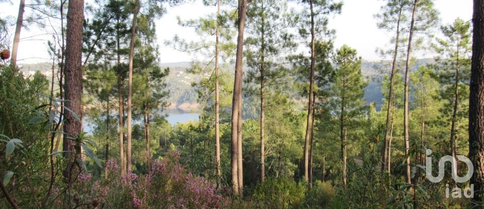 Terrain à bâtir à Serra e Junceira de 531 950 m²