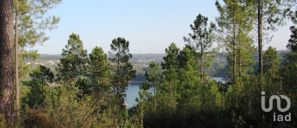 Terrain à bâtir à Serra e Junceira de 531 950 m²