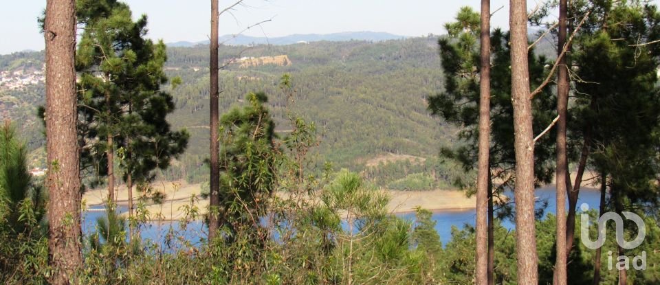 Terrain à bâtir à Serra e Junceira de 531 950 m²