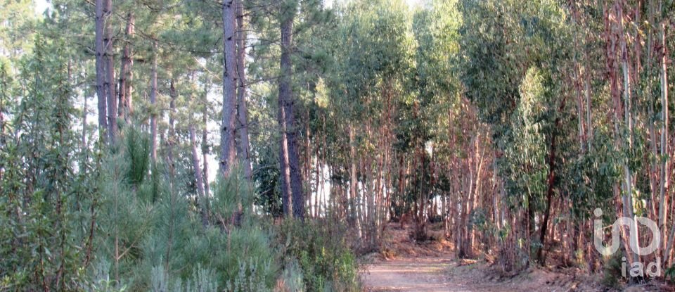 Terrain à bâtir à Serra e Junceira de 531 950 m²