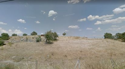 Terrain à Viana do Alentejo de 6 000 m²