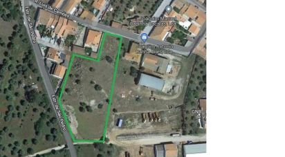 Terrain à Viana do Alentejo de 6 000 m²