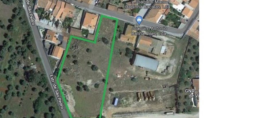 Terreno em Viana do Alentejo de 6 000 m²