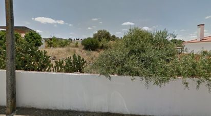 Terrain à Viana do Alentejo de 6 000 m²