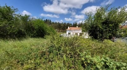 Terreno em Aljubarrota de 1 934 m²