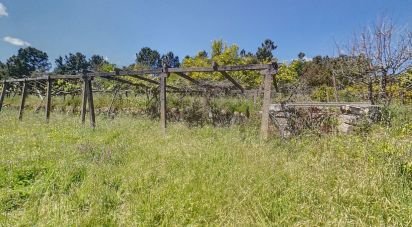 Terrain à Pedrógão Pequeno de 1 230 m²