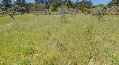 Terrain à Pedrógão Pequeno de 1 230 m²