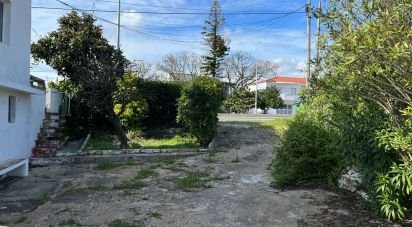 House T0 in Pechão of 1,120 m²